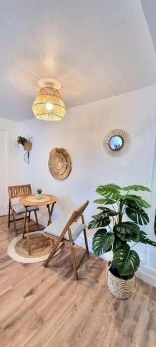 Le Boheme - Hypercentre - Wifi Apartment Toulouse Exterior photo